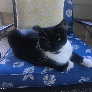 Meet your Posher, Anna rose